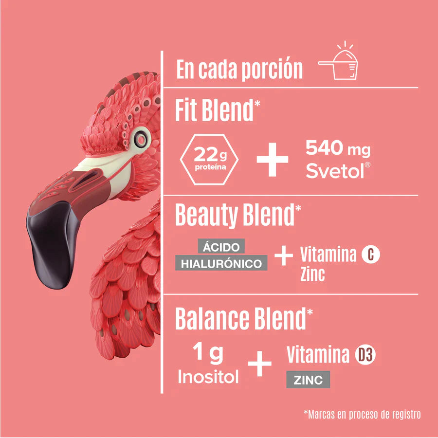 Fitmingo Protein 1.02 kg 30 servicios - Birdman